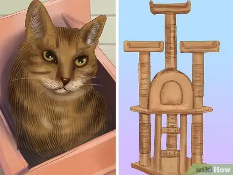 Image titled Socialize a Fearful Cat Step 2