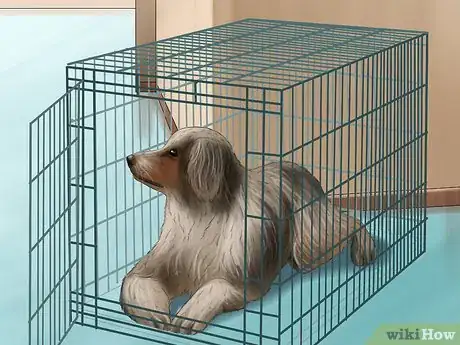 Image titled Keep Your Dog and Other Dogs Safe at the Vet Step 13