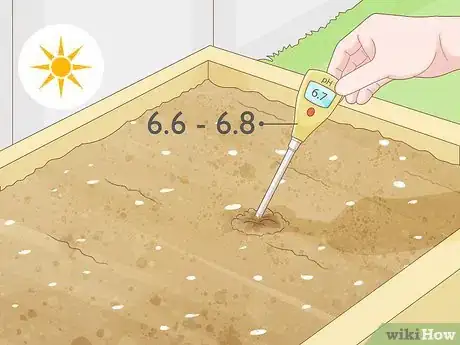 Image titled Grow Agave Plants Step 4