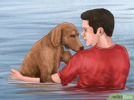 Image titled Care for Your Dog on the Beach Step 8