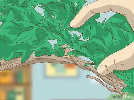 Image titled Make a Boxwood Wreath Step 4