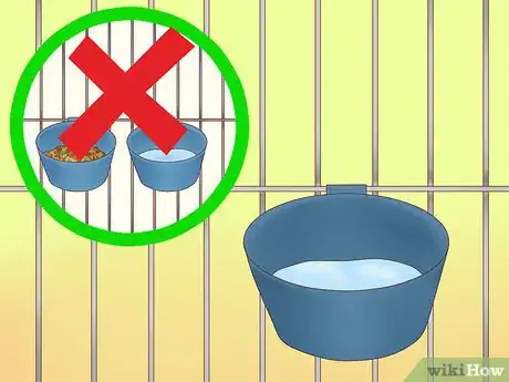 Image titled Feed a Conure Step 6