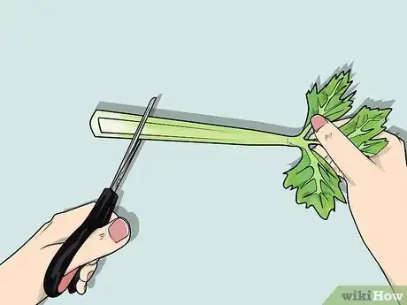 Image titled Change the Color of a Celery Stalk Step 8