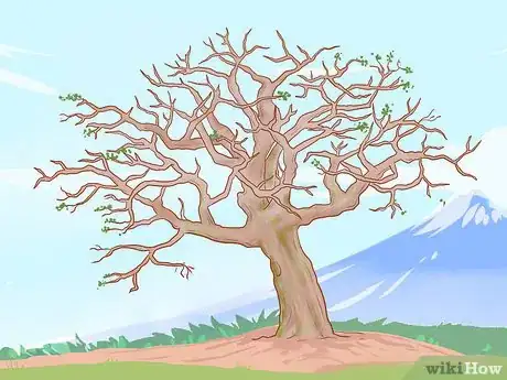 Image titled Prune Old Apple Trees Step 1