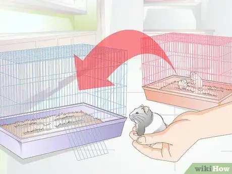 Image titled Deal With a Mean Hamster Step 8