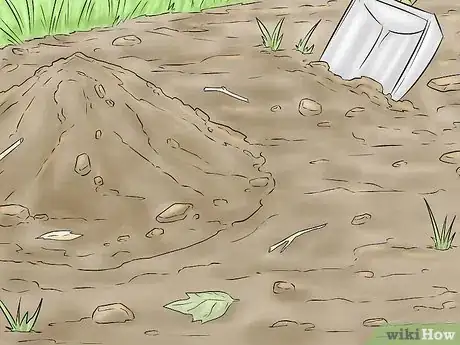 Image titled Plant a Tulip Poplar Tree Step 1