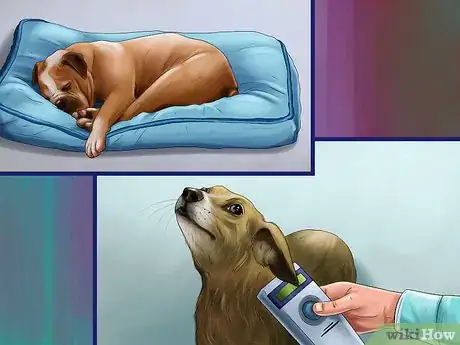 Image titled Track Your Dog's Patterns Step 4