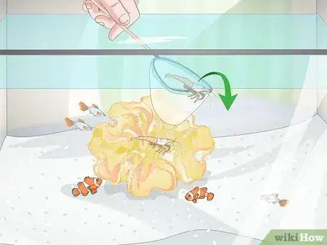 Image titled Reduce Saltwater Reef Aquarium Maintenance Step 5