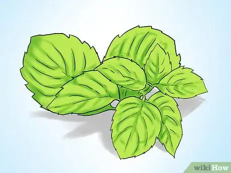 Image titled Grow Mint in a Pot Step 2