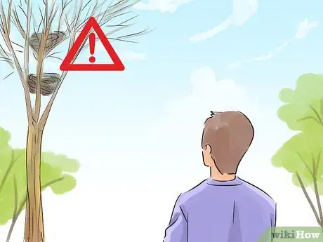 Image titled Keep Safe from Swooping Australian Magpies Step 1