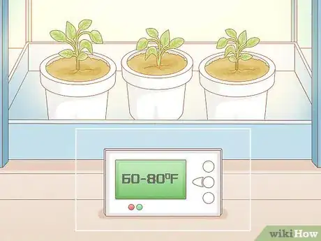 Image titled Grow Tobacco Inside Step 13