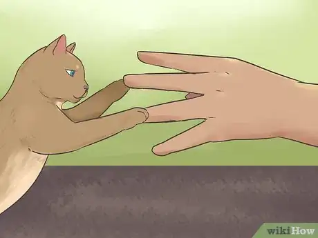 Image titled Earn a Kitten's Trust Step 1