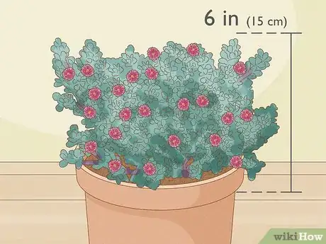 Image titled Choose Succulents Step 7