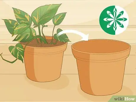 Image titled Care for a Golden Pothos Step 9