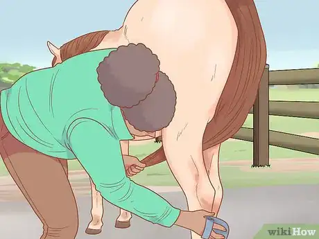 Image titled Groom a Horse for a Show Step 17