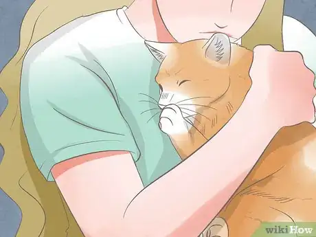 Image titled Diagnose Keratitis in Cats Step 8