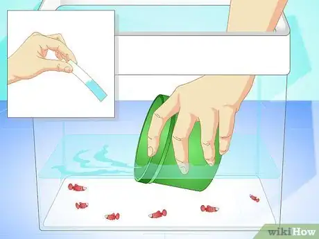Image titled Breed Wild Bettas Step 12