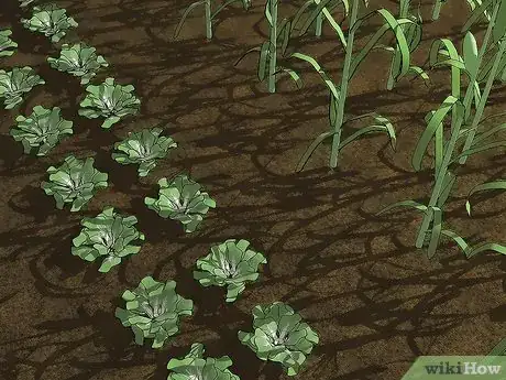 Image titled Extend Your Gardening Season Step 10