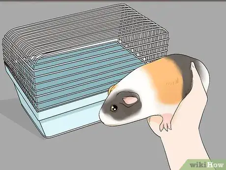 Image titled Avoid Scaring Your Guinea Pig Step 5