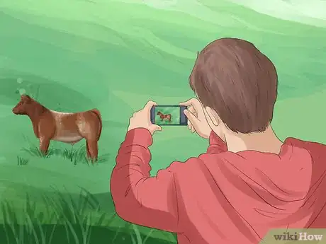 Image titled Identify Shorthorn Cattle Step 10