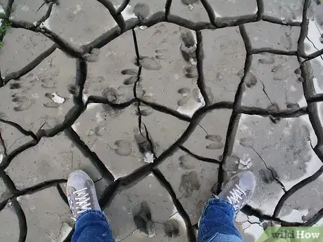 Image titled Survive in the Woods without Hunting Step 2