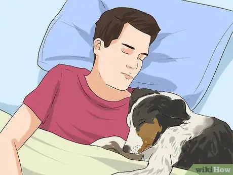 Image titled Have a Fun Day with Your Dog Step 7