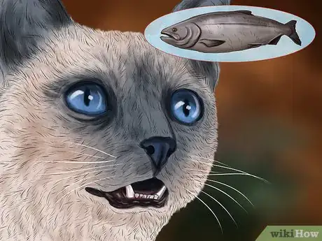 Image titled Treat Seasonal Allergies in Cats Step 9