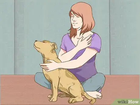 Image titled Do Yoga with Your Dog Step 3