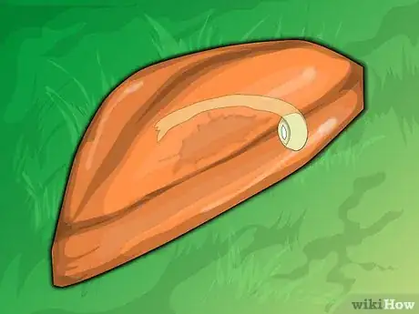 Image titled Repair Fiberglass Finishings on Boats, Cars and other Objects Step 6