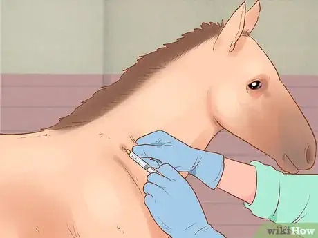 Image titled Wean a Foal Step 2