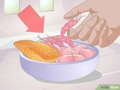 Image titled Feed Hermit Crabs Step 4