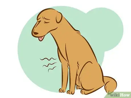 Image titled Recognize a Dying Dog Step 1