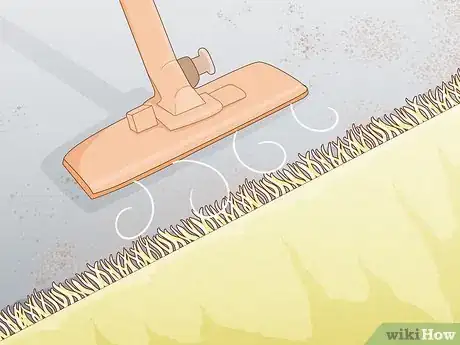 Image titled Prevent Millipedes Step 13