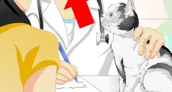 Keep Your Cat from Urinating Where It Shouldn't