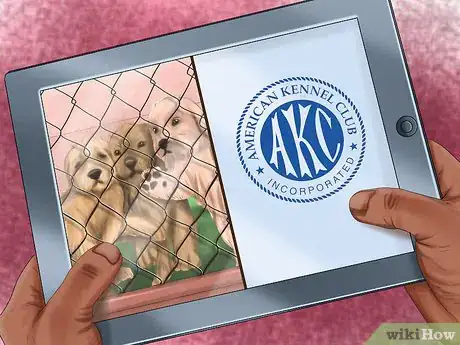 Image titled Determine Where to Get Your Dog Step 4