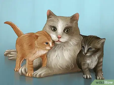 Image titled Teach a Kitten to Play Nice Step 1