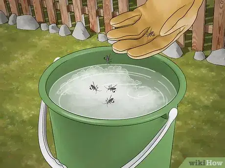 Image titled Kill Leaf Footed Bugs Step 9