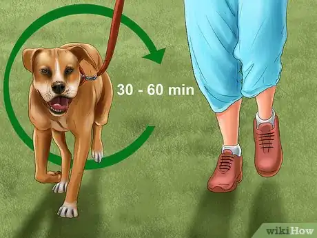 Image titled Introduce a New Dog in a Not Neutral Area Step 2
