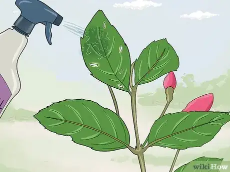 Image titled Fight Fuschia Gall Mites Step 6