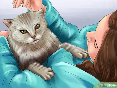 Image titled Administer Injectable Medication to a Cat Step 9