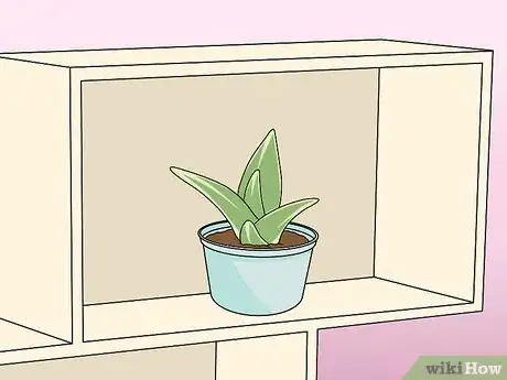 Image titled Decorate Bookshelves Without Books Step 9