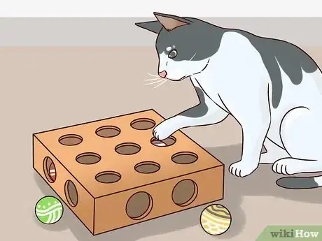 Image titled Help an Indoor Cat Being Tormented by an Outdoor Cat Step 4