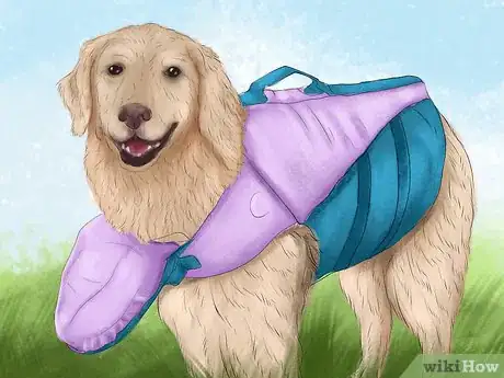 Image titled Keep Your Dog Safe on a Boat Ride Step 3