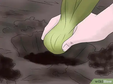 Image titled Keep Narcissus Bulbs After Flowering Step 12