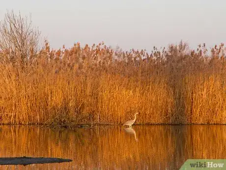 Image titled Find a Good Bass Fishing Spot Step 4