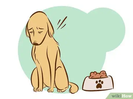 Image titled Recognize a Dying Dog Step 2
