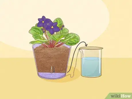Image titled How Often Do You Water an African Violet Step 4