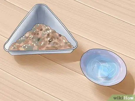 Image titled Care for African Pygmy Hedgehogs Step 2