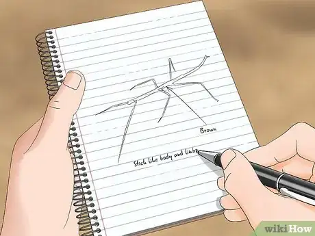 Image titled Watch Insects Step 19