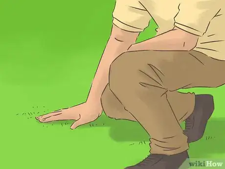 Image titled Set up Croquet Step 1